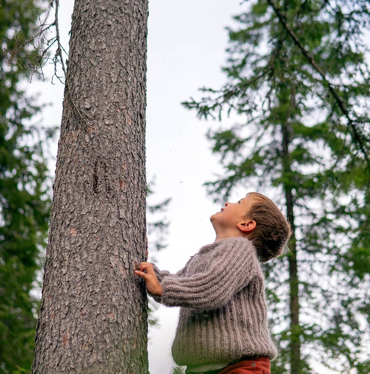 Vastuullinen ulkoverhouspaneeli ja ulkoverhouslauta, joka on valmistettu pohjoisen puusta.